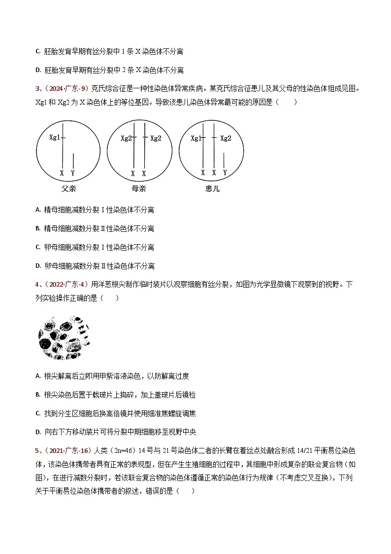 5年(2021-2025)高考1年模拟生物真题分类汇编专题03 细胞的生命历程(原卷版)(广东专用)第2页
