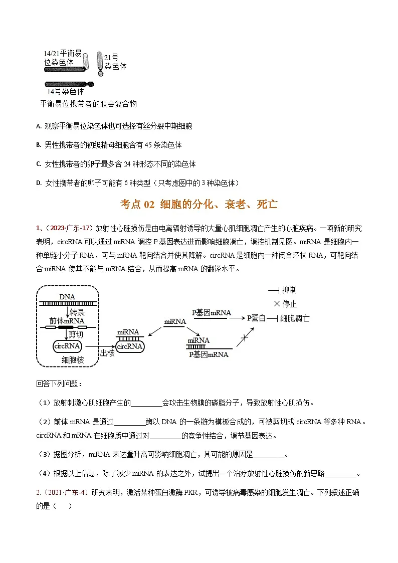5年(2021-2025)高考1年模拟生物真题分类汇编专题03 细胞的生命历程(原卷版)(广东专用)第3页