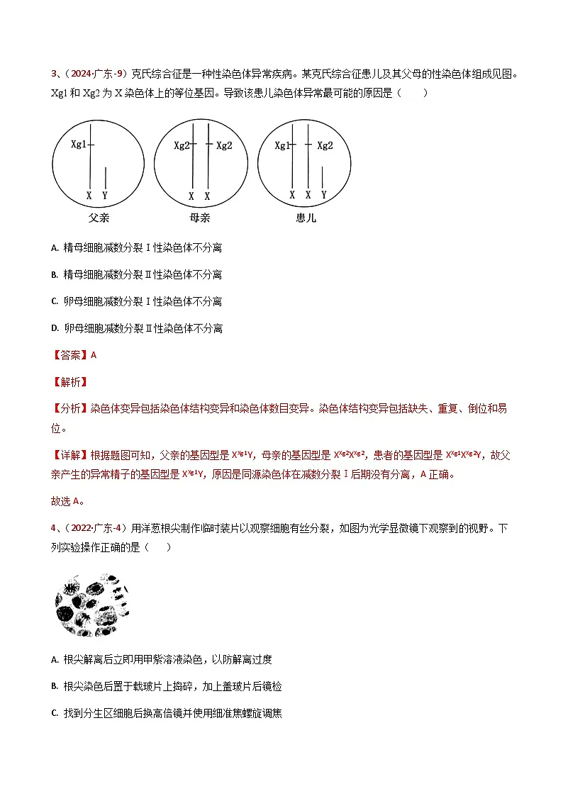 5年(2021-2025)高考1年模拟生物真题分类汇编专题03 细胞的生命历程(解析版)(广东专用)第3页