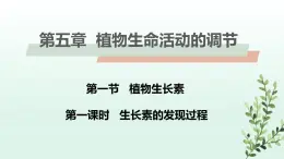 5.1.1 植物生長(zhǎng)激素PPT課件-人教版生物學(xué)選擇性必修1