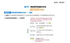 2.2神經(jīng)調(diào)節(jié)的基本方式知識(shí)點(diǎn)串講課件+分層訓(xùn)練-人教版高中生物高二上冊(cè)（選必一）