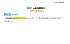 2.5人腦的高級(jí)功能知識(shí)點(diǎn)串講課件+分層訓(xùn)練-人教版高中生物高二上冊(cè)（選必一）