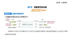 3.2　激素調(diào)節(jié)的過(guò)程知識(shí)點(diǎn)串講課件+分層訓(xùn)練-人教版高中生物高二上冊(cè)（選必一）