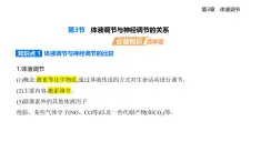 3.3　體液調(diào)節(jié)與神經(jīng)調(diào)節(jié)的關(guān)系知識(shí)點(diǎn)串講課件+分層訓(xùn)練-人教版高中生物高二上冊(cè)（選必一）