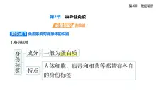 4.2特異性免疫知識(shí)點(diǎn)串講課件+分層訓(xùn)練-人教版高中生物高二上冊(cè)（選必一）