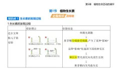5.1  植物生長(zhǎng)素知識(shí)點(diǎn)串講課件+分層訓(xùn)練-人教版高中生物高二上冊(cè)（選必一）