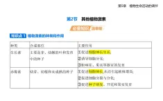5.2  其他植物激素知識(shí)點(diǎn)串講課件+分層訓(xùn)練-人教版高中生物高二上冊(cè)（選必一）