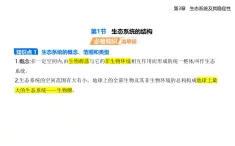 3.1 生態(tài)系統(tǒng)的結構知識點串講課件+分層訓練-人教版高中生物高二上冊（選必二）