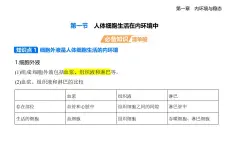 1.1 人體細(xì)胞生活在內(nèi)環(huán)境中知識(shí)點(diǎn)串講課件+分層訓(xùn)練-浙科版高中生物高二上冊(cè)（選必一）