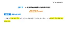 2.3 人體通過神經(jīng)調(diào)節(jié)對(duì)刺激做出反應(yīng)知識(shí)點(diǎn)串講課件—+分層訓(xùn)練-浙科版高中生物高二上冊(cè)（選必一）