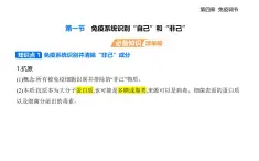 4.1  免疫系統(tǒng)識(shí)別“自己”和“非己”知識(shí)點(diǎn)串講課件+分層訓(xùn)練-浙科版高中生物高二上冊(cè)（選必一）