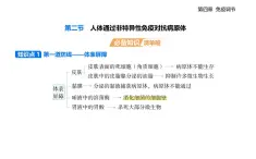 4.2  人體通過非特異性免疫對(duì)抗病原體知識(shí)點(diǎn)串講課件+分層訓(xùn)練-浙科版高中生物高二上冊(cè)（選必一）