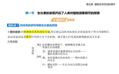 5.1 生長(zhǎng)素的發(fā)現(xiàn)開啟了人類對(duì)植物激素調(diào)節(jié)的探索知識(shí)點(diǎn)串講課件+分層訓(xùn)練-浙科版高中生物高二上冊(cè)（選必一）