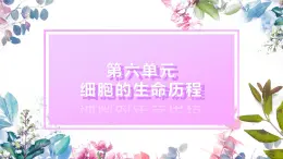 人教版2019 高中生物 必修1  第六章 6.3《細胞衰老和死亡》(PPT+教案)
