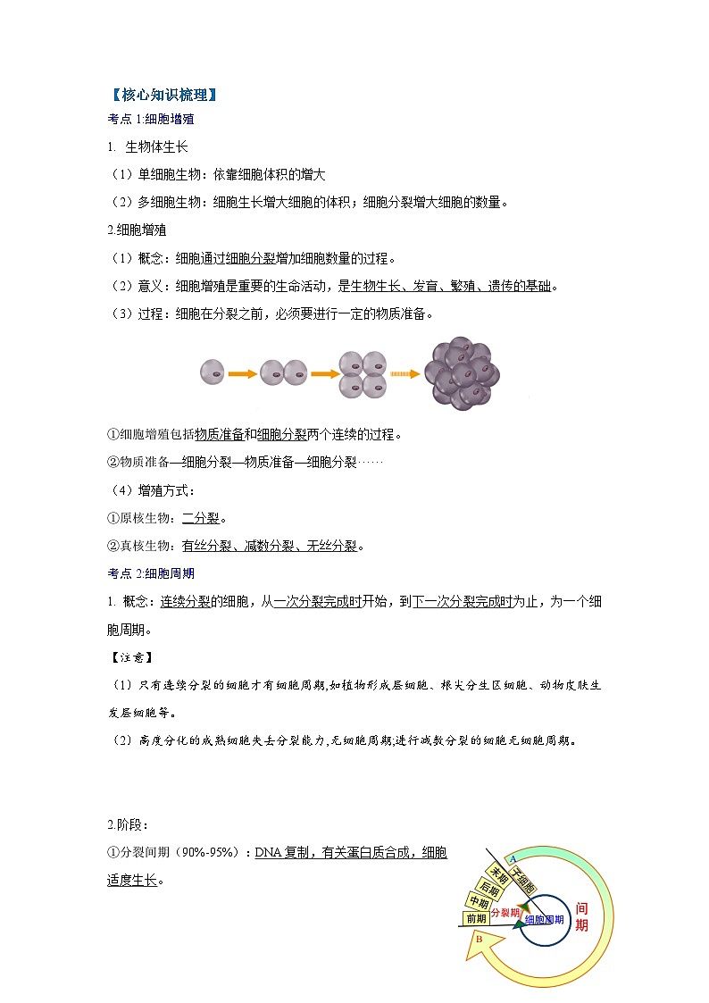 第六章 细胞的生命历程(教师版)第2页