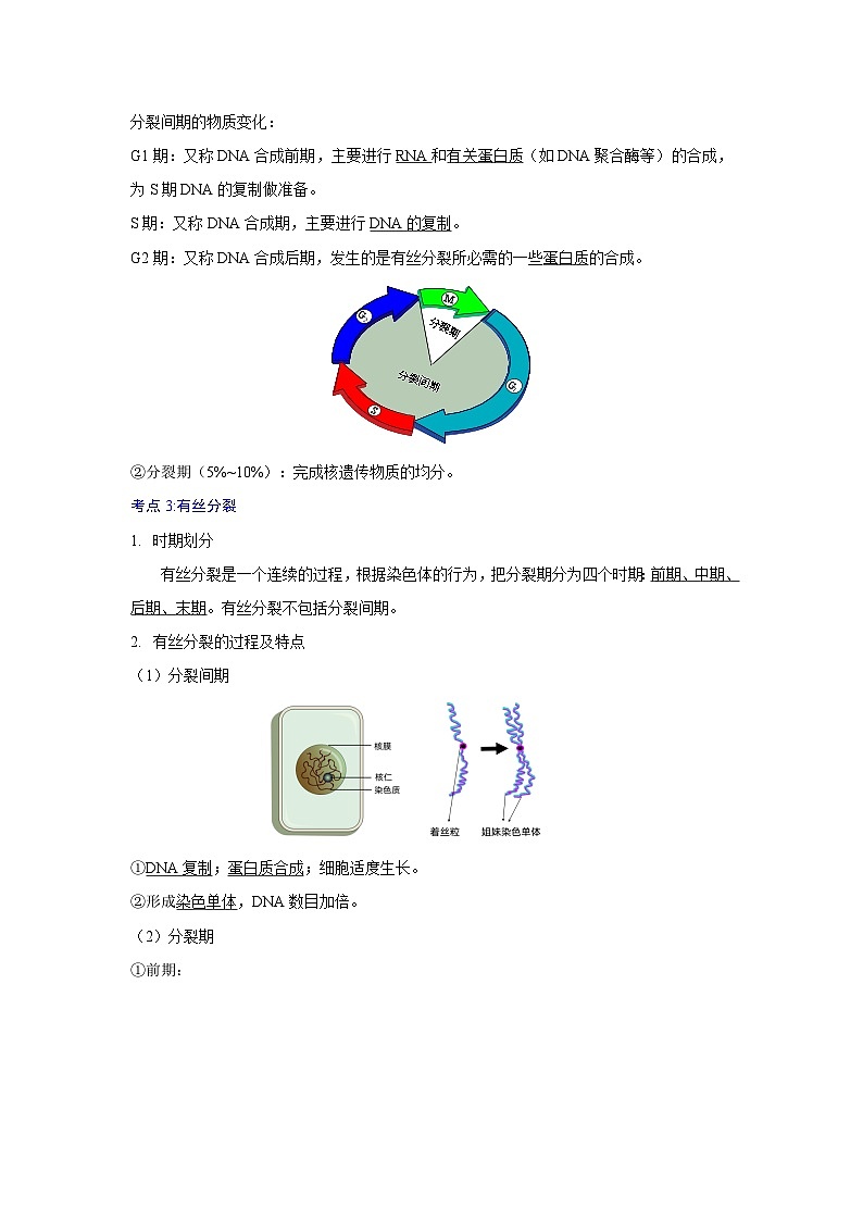 第六章 细胞的生命历程(教师版)第3页