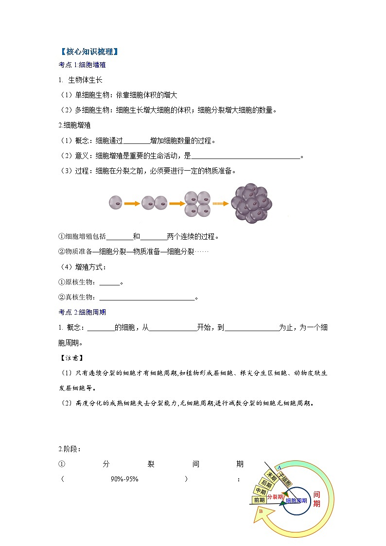 第六章 细胞的生命历程(学生版)第2页