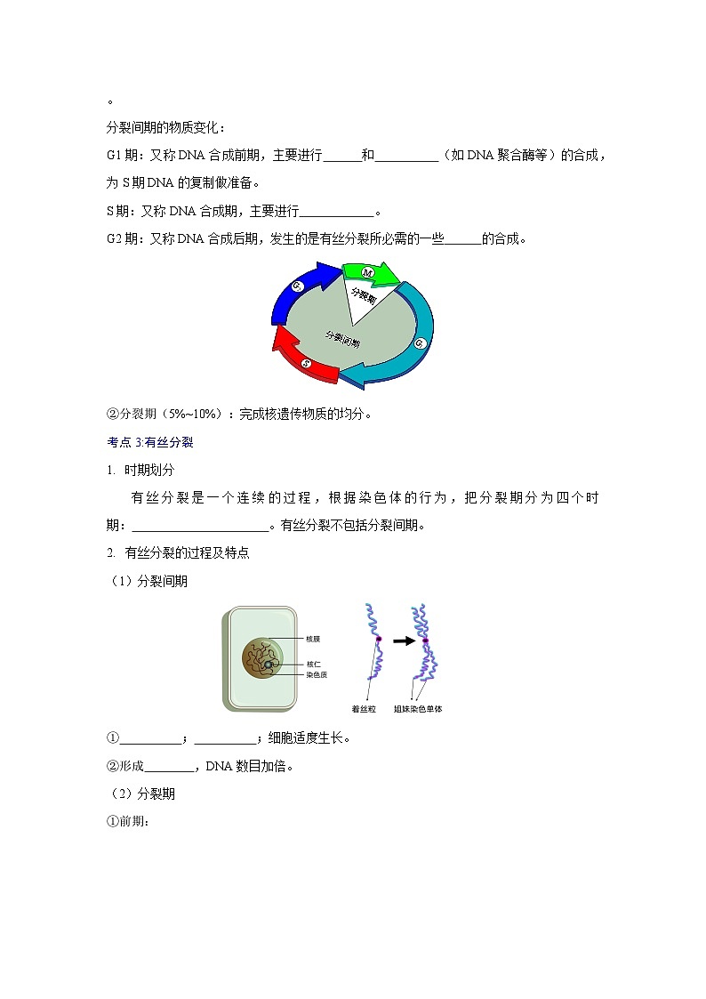 第六章 细胞的生命历程(学生版)第3页