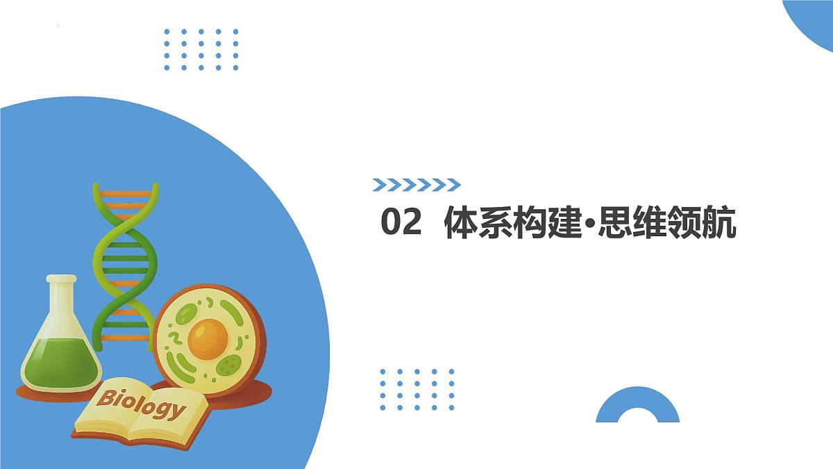 第19讲+DNA是主要的遗传物质(复习课件)(四川专用)2026年高考生物一轮复习讲练测第5页