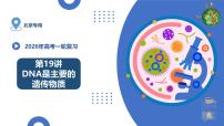 第19讲++DNA是主要的遗传物质（复习课件）（北京专用）2026年高考生物一轮复习讲练测