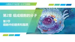 2.3 細胞中的糖類和脂質（教學課件）-2025-2026學年高中生物必修1（人教版2019）