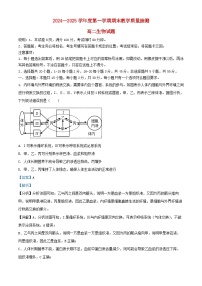 山东省聊城市2024_2025学年高二生物上学期1月期末试题含解析
