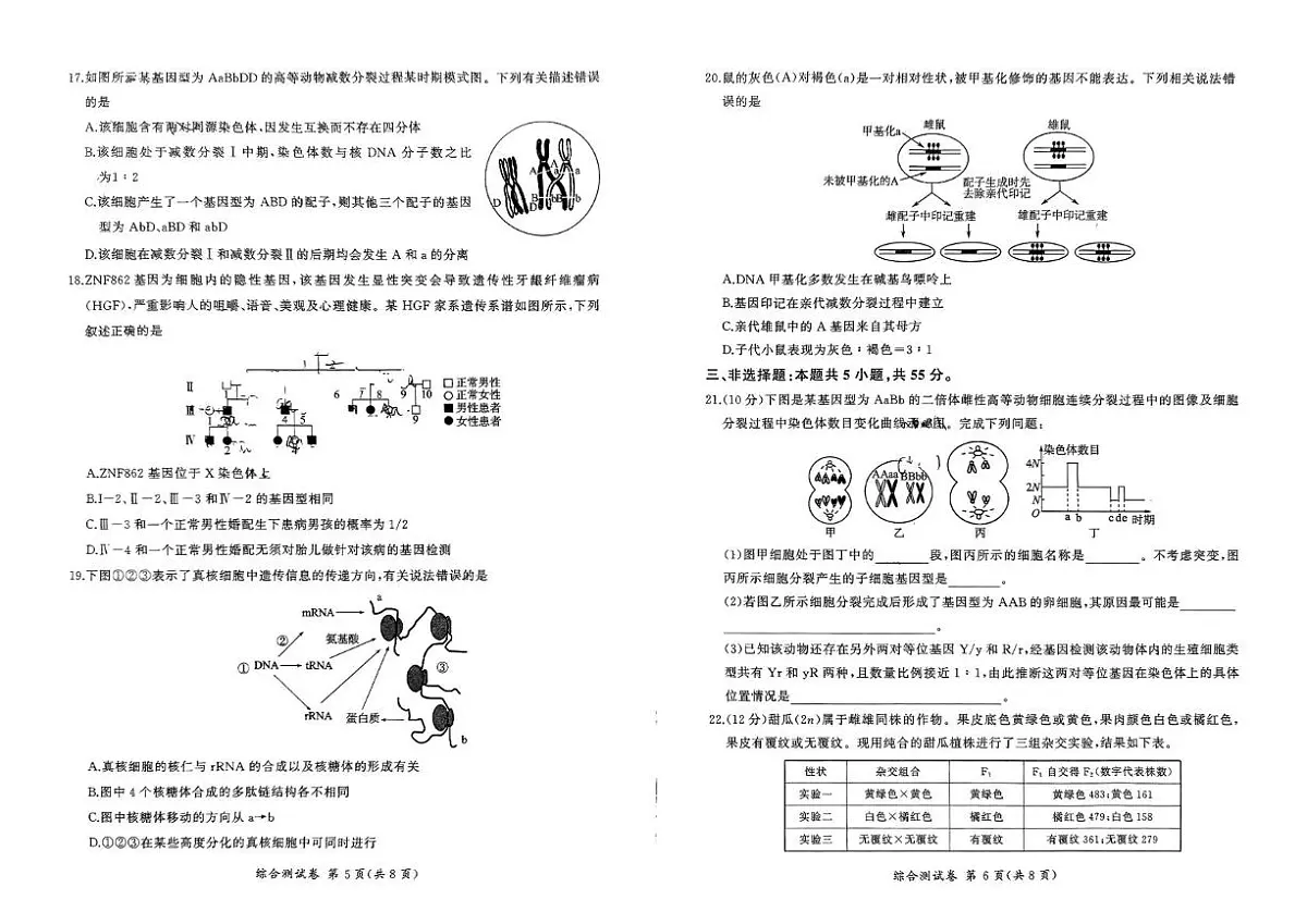 辽宁省鞍山市2024-2025学年高一下学期期末考试生物试题(PDF版附解析)第3页