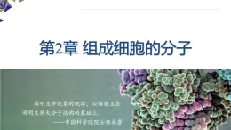 人教版高中生物必修1 2-4《 蛋白質(zhì)相關(guān)計算（二）》課件