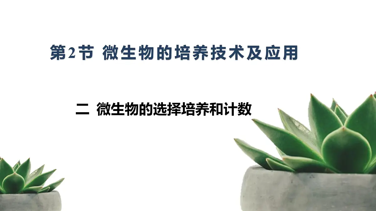 人教版高中生物选修3 1-2《微生物的培养技术及应用》第2课时 教学课件第1页