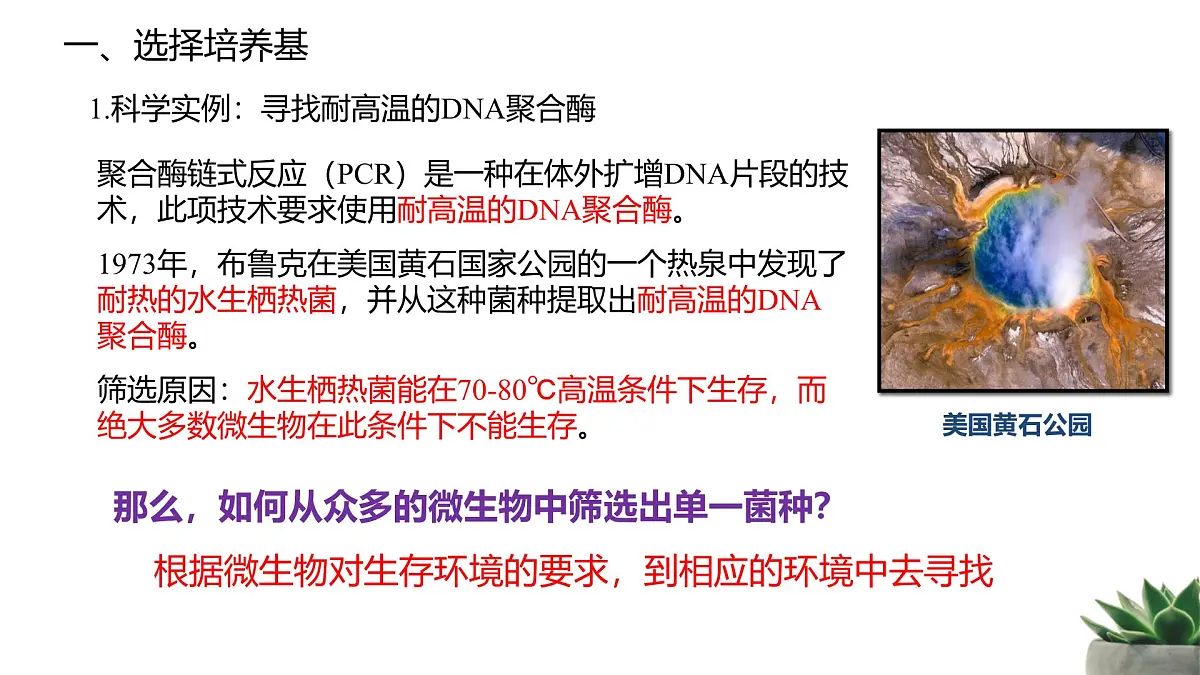 人教版高中生物选修3 1-2《微生物的培养技术及应用》第2课时 教学课件第2页