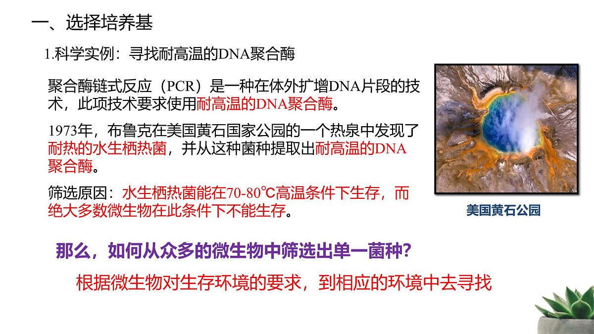 人教版高中生物选修3 1-2《微生物的培养技术及应用》第2课时 教学课件第2页