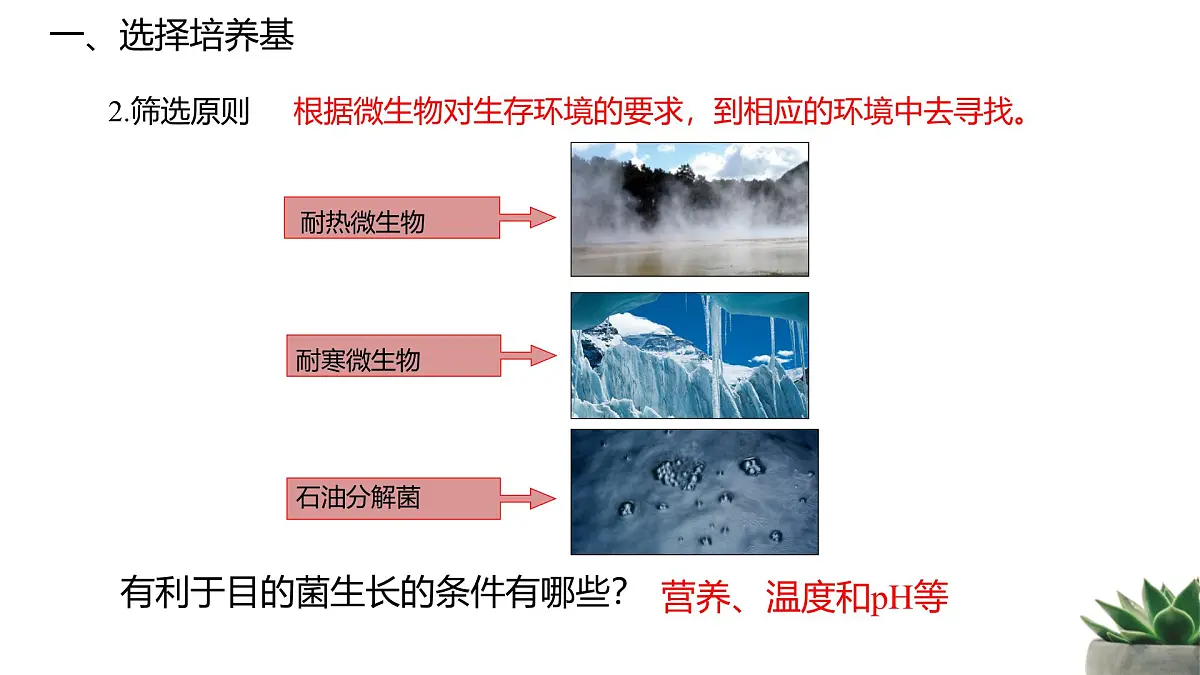 人教版高中生物选修3 1-2《微生物的培养技术及应用》第2课时 教学课件第3页