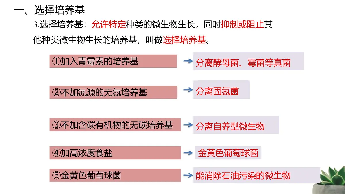 人教版高中生物选修3 1-2《微生物的培养技术及应用》第2课时 教学课件第4页