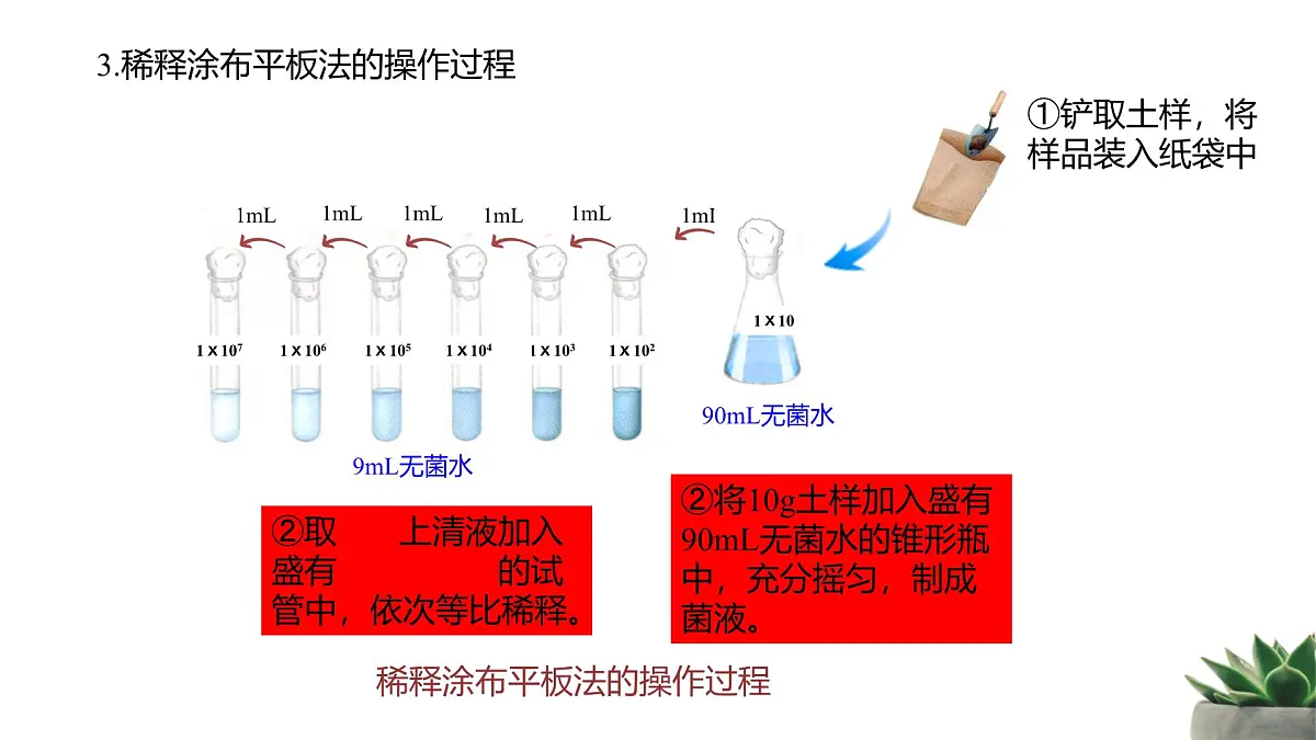 人教版高中生物选修3 1-2《微生物的培养技术及应用》第2课时 教学课件第6页