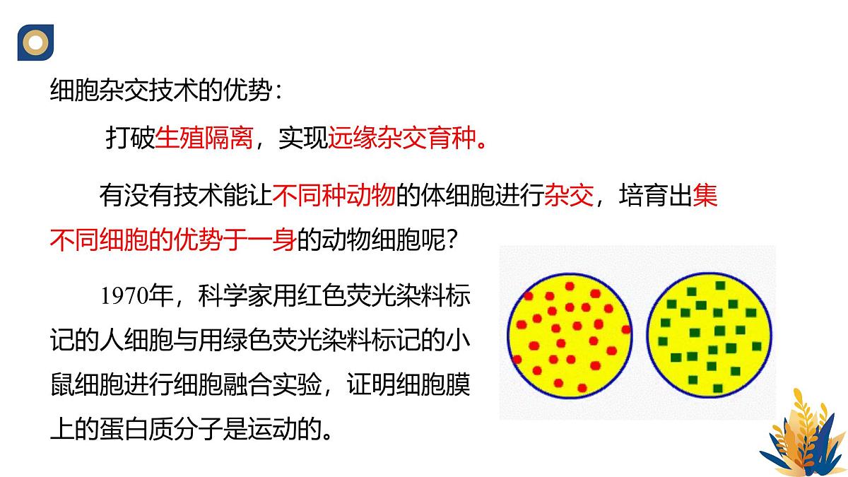 人教版高中生物 选修3《2-2 动物细胞的融合技术单克隆抗体》教学课件第3页