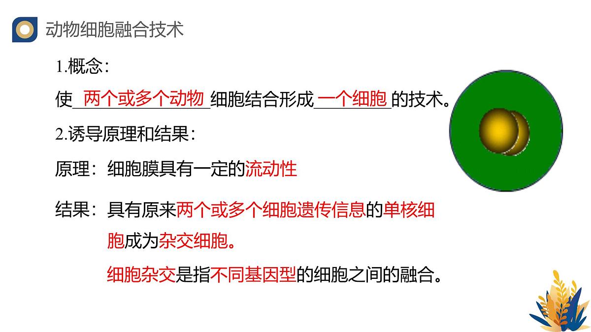 人教版高中生物 选修3《2-2 动物细胞的融合技术单克隆抗体》教学课件第4页