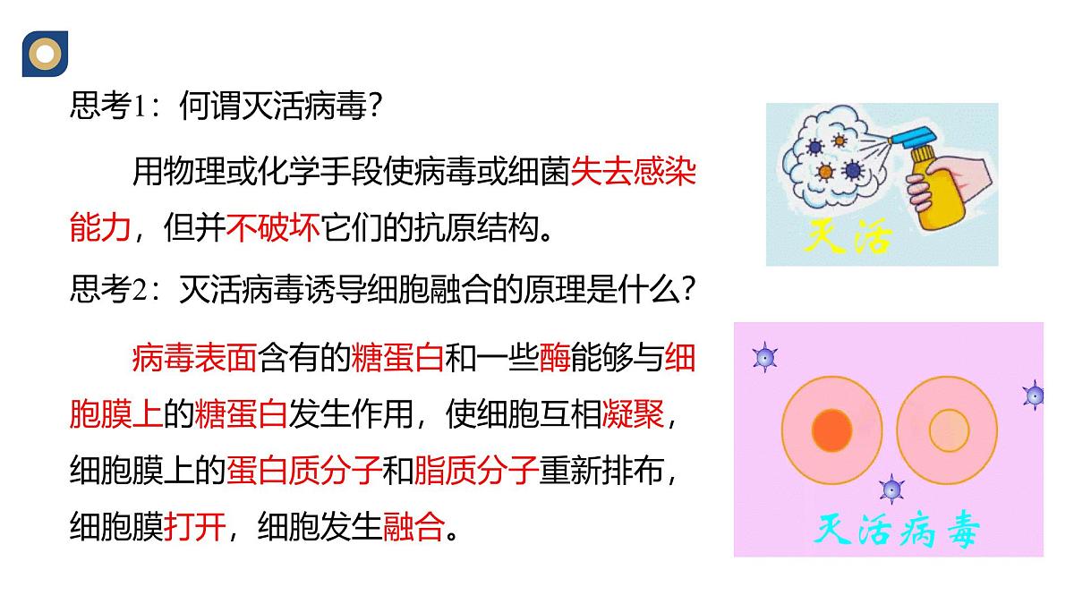 人教版高中生物 选修3《2-2 动物细胞的融合技术单克隆抗体》教学课件第6页