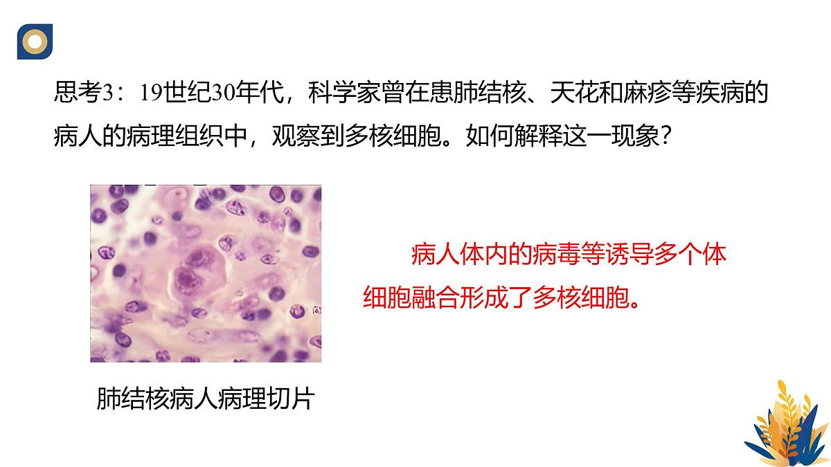 人教版高中生物 选修3《2-2 动物细胞的融合技术单克隆抗体》教学课件第7页