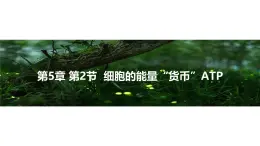 部編版高一生物必修一細胞的能量貨幣-ATP課件