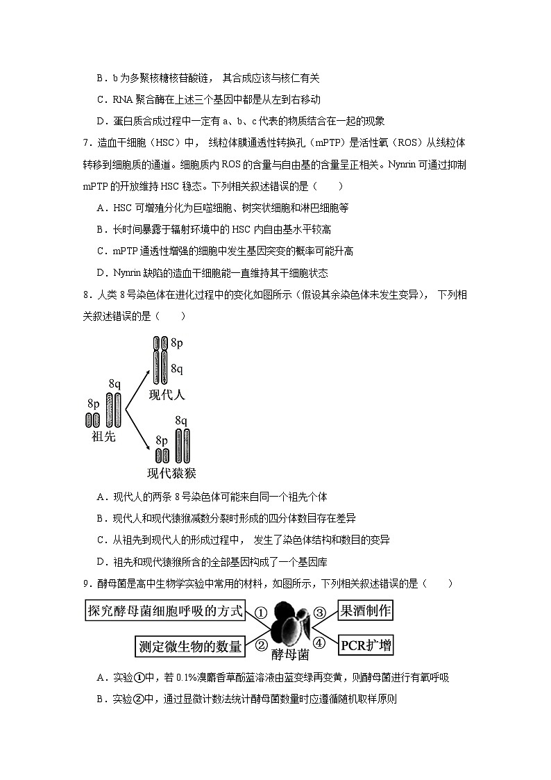 2025届江苏省徐州市高三下学期第一次模拟考试生物试卷(附答案解析)第3页