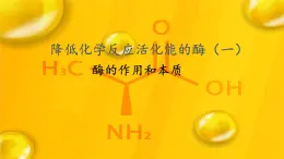 5.1降低化學反應活化能的酶 課件-2025-2026學年上學期高一生物（人教版）必修1