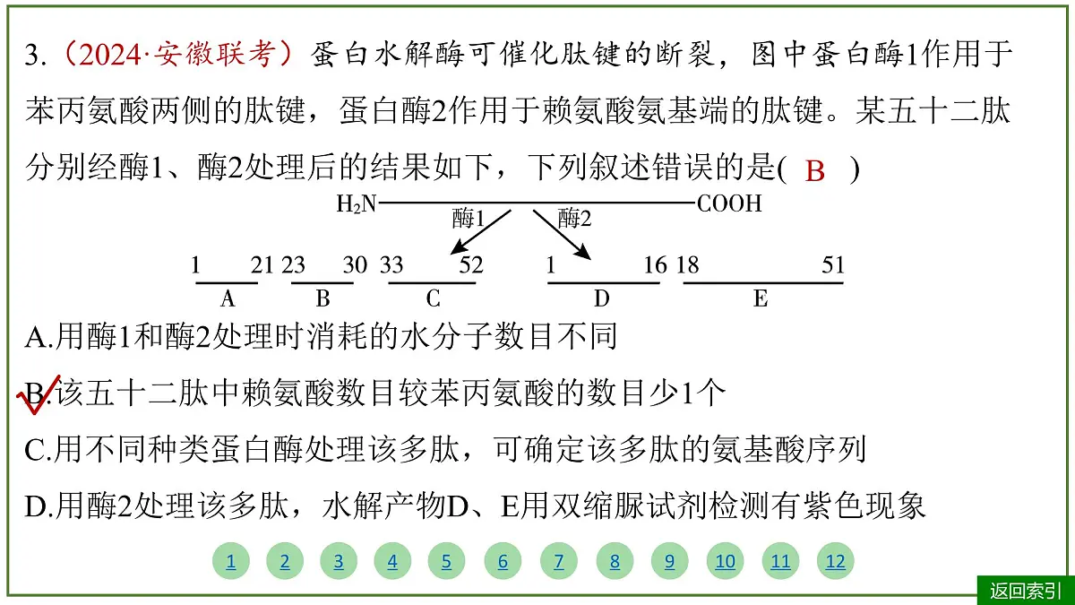 2026届高考生物学一轮复习习题课件及答案解析:专题1 第3讲 蛋白质和核酸第8页
