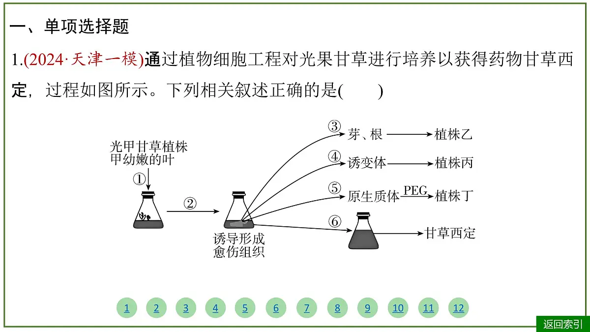 2026届高考生物学一轮复习习题课件及答案解析:专题10 第3讲 植物细胞工程第4页