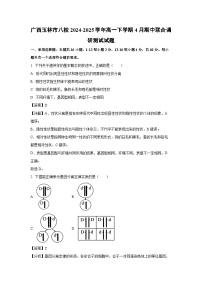 【生物】广西玉林市八校2024-2025学年高一下学期4月期中联合调研测试试题（解析版）