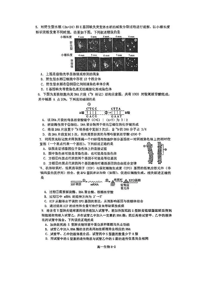 江苏省南通中学2024-2025学年高一下学期5月阶段考试生物试卷(PDF版附答案)第2页