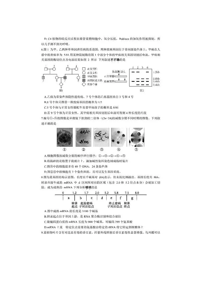 2024~2025学年安徽省合肥市第一中学高二下期末考试生物试卷(含答案)第3页