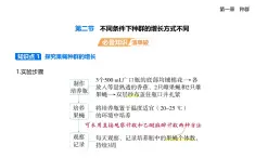 1.2不同條件下種群的增長(zhǎng)方式不同知識(shí)點(diǎn)串講課件+分層訓(xùn)練-浙科版高二上冊(cè)生物（選必二）