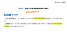 3.1群落與非生物環(huán)境組成生態(tài)系統(tǒng)知識(shí)點(diǎn)串講課件+分層訓(xùn)練-浙科版高二上冊(cè)生物（選必二）