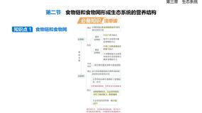 高中生物浙科版 (2019)选择性必修2 生物与环境食物链和食物网形成生态系统的营养结构优质课课件ppt