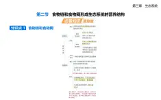 3.2食物鏈和食物網(wǎng)形成生態(tài)系統(tǒng)的營養(yǎng)結(jié)構(gòu)知識(shí)點(diǎn)串講課件+分層訓(xùn)練-浙科版高二上冊(cè)生物（選必二）